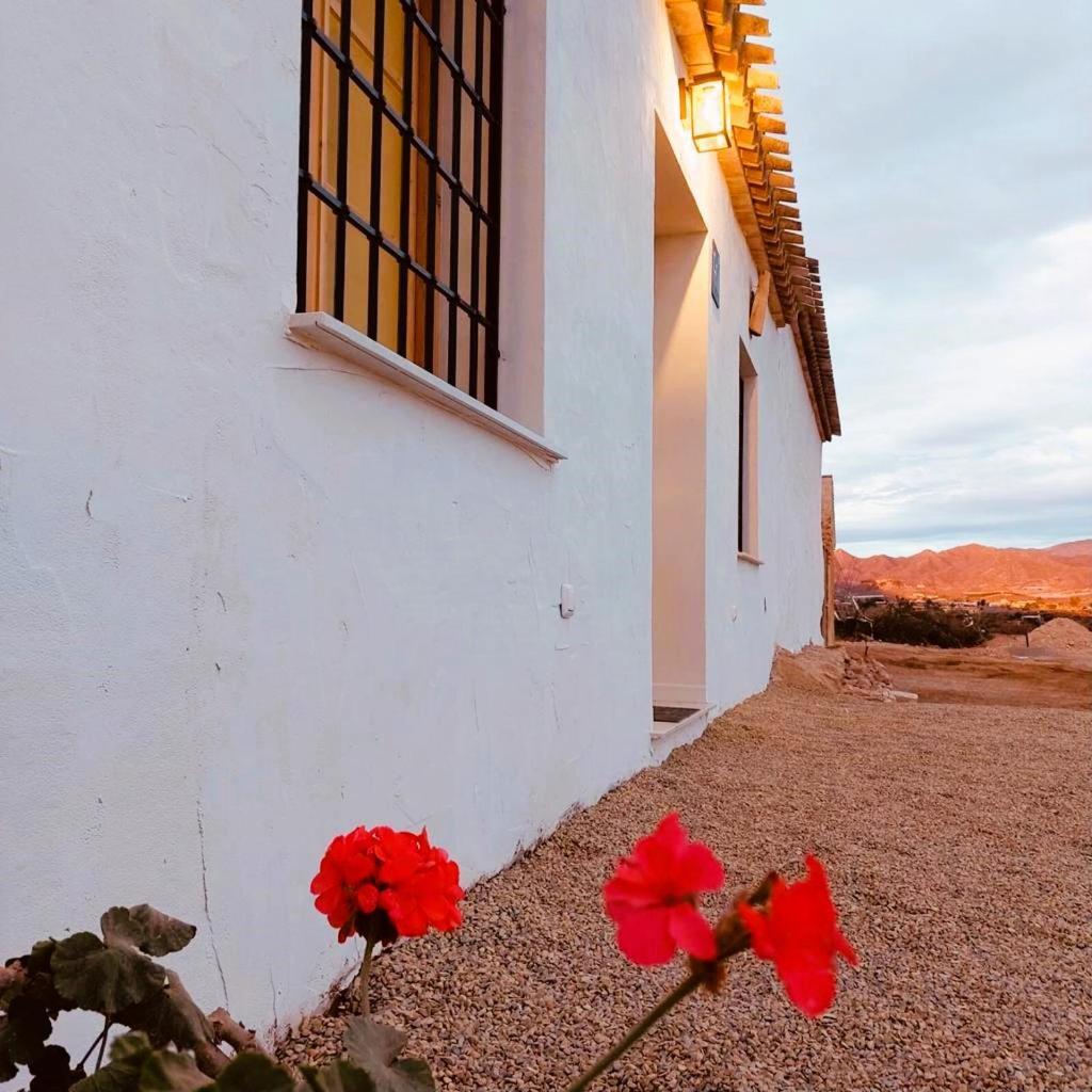 Casa Vacaciones Almadraba Cabo Cope Villa Aguilas Bagian luar foto